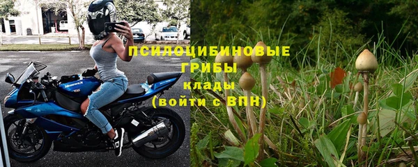 твердый Алзамай