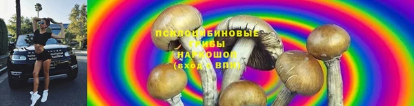 твердый Алзамай