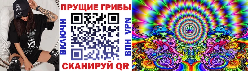 Галлюциногенные грибы Psilocybe Щёлково